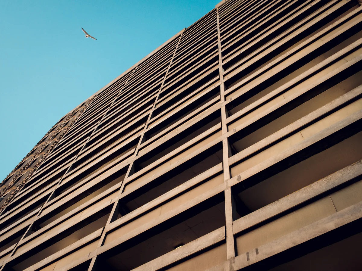 the modernist magazine issue #50 NORTH
